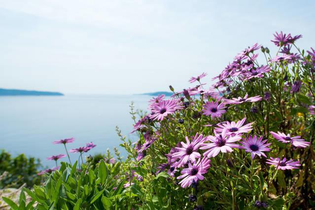 Holiday Home Trsteno Esterno foto